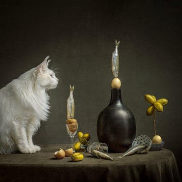 Elena Paraskeva - Le Chat Curieux