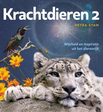 Krachtdieren / 2 - Petra Stam 9789491557514, Verzenden, Zo goed als nieuw, Petra Stam