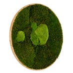 Vintlux Mosschilderij Rond 100 cm Ongelakt Eiken - Esbjerg, Huis en Inrichting, Woonaccessoires | Wanddecoraties, Nieuw