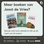 De republiek 9789044622287 Joost de Vries, Boeken, Verzenden, Gelezen, Joost de Vries