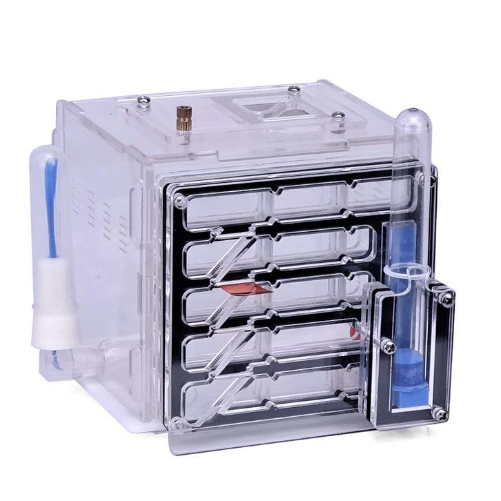 Mierenboerderij Zwart Mierenhotel Antquarium Antfarm, Verzamelen, Overige Verzamelen, Verzenden