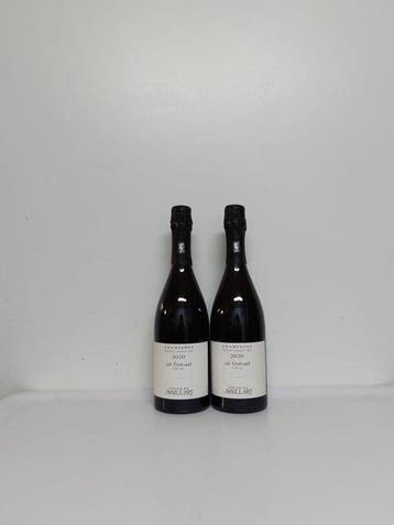 2020 Nicolas Maillart, Les Ronsures - Champagne Grand Cru,, Nieuw