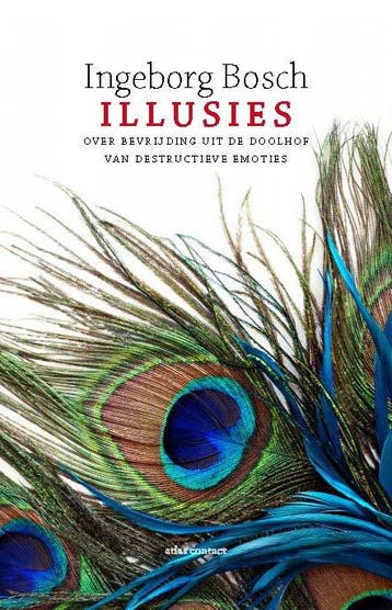 Illusies - Ingeborg Bosch 9789045029825, Verzenden, Gelezen, Ingeborg Bosch