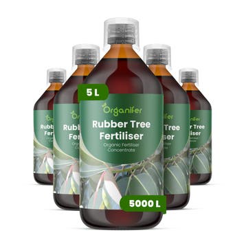 Rubberplant Vloeibare meststof - Set 5x1 liter, Verzenden, Mest