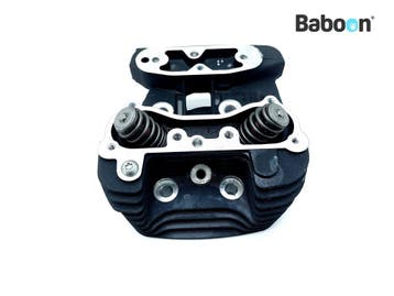 Cilinderkop Achter Harley-Davidson XL 883 N Sportster Iron, Verzenden, Gebruikt