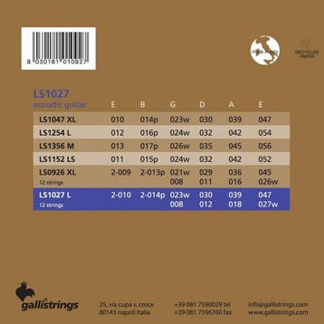 Galli LS1027-12 12-snaren set akoestisch phosphor bronze, Ophalen of Verzenden, Nieuw