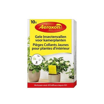 Val voor fruitvliegjes | Aeroxon | 10 stuks (Lijm), Verzenden, Nieuw