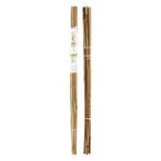 Plantenstok | Gardalux | 78 cm | 10 stuks (Ø 6/9 mm, Bamboe), Tuin en Terras, Planten | Tuinplanten, Verzenden