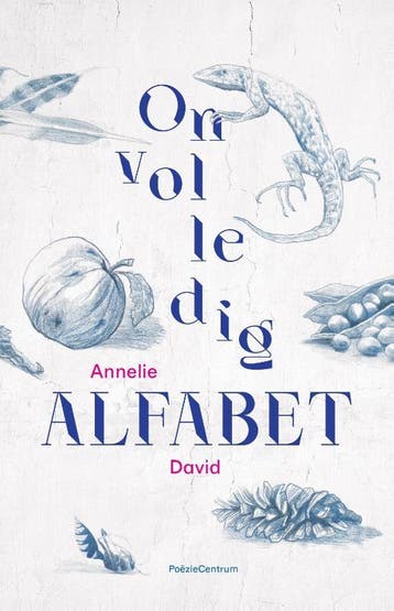 Onvolledig alfabet 9789056552626 Annelie David, Verzenden, Zo goed als nieuw, Annelie David