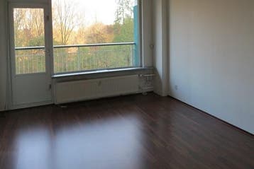Appartement Groningensingel in Arnhem, Gelderland, Via bemiddelaar, Appartement, Arnhem