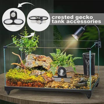 Voer- en Waterbakje met Zuignap voor Reptielen Terrarium, Dieren en Toebehoren