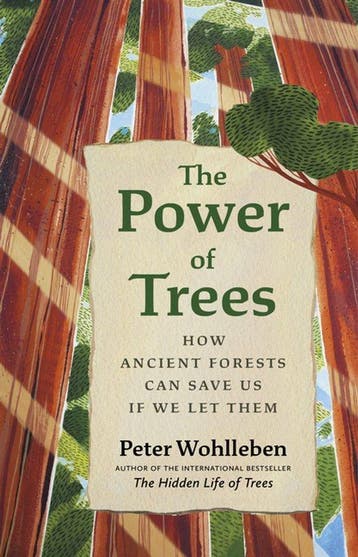 9781771647748 The Power of Trees Peter Wohlleben, Boeken, Verzenden, Nieuw, Peter Wohlleben