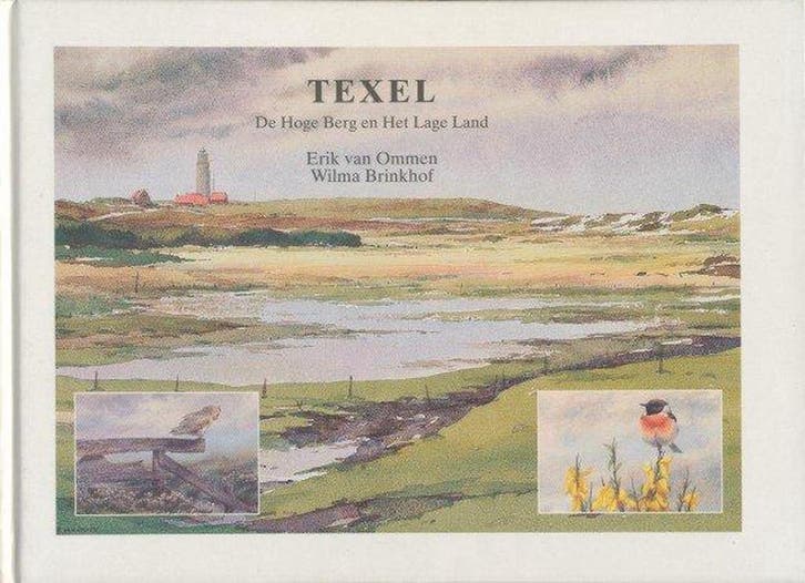 Hoge berg en het lage land 9789075318012 Brinkhof, Boeken, Kunst en Cultuur | Beeldend, Gelezen, Verzenden