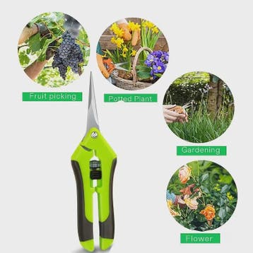 Scherpe Snoeischaar voor Tuinieren, Bonsai & Fruit Plukken -, Tuin en Terras, Verzenden, Nieuw