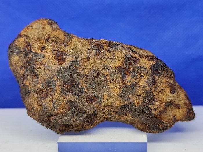 XL IJZERMETEORIET Campo del Cielo (Argentinië, 4500 jaar), Verzamelen, Mineralen en Fossielen