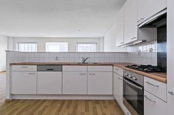 Te Huur 2 Kamer Appartement Buitenpepersdreef In Den Bosch, Noord-Brabant, Direct bij eigenaar,  Den Bosch, Appartement