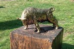 europa - sculptuur, Woeste stier gepolijst brons - 21 cm -