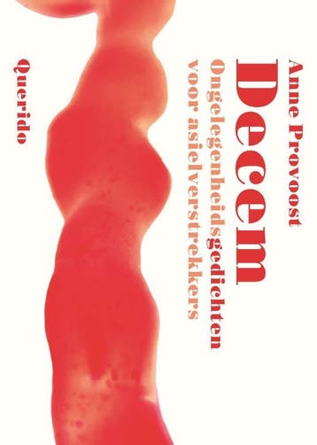 Decem - Anne Provoost 9789025317836, Verzenden, Zo goed als nieuw, Anne Provoost