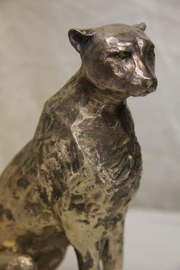 Jean Pierre Le Cann (1969) - Guépard