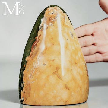 Polymorfen Ocean Jasper met een levendig geel en bosgroen