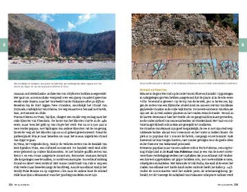 Albanië / Dominicus reisgids 9789025781224 Yvonne van Osch, Boeken, Verzenden, Gelezen, Yvonne van Osch