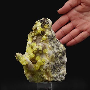 Zeldzaam geel zwavel op aragoniet, UV-gevoelig, Sicilië, Verzamelen, Mineralen en Fossielen