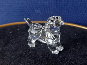 Swarovski - Beeldje - Labrador Puppy - Standing - Kristal