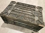 gebruikte kratten teeltkratten 60x40x24 cm stapelkratten, Gebruikt, 50 tot 75 cm, 40 tot 60 cm, Minder dan 35 cm