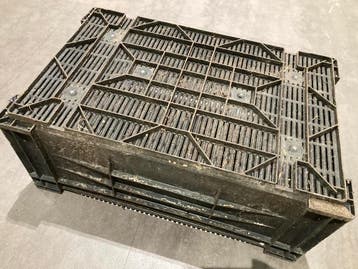 gebruikte kratten teeltkratten 60x40x24 cm stapelkratten, Gebruikt, 50 tot 75 cm, 40 tot 60 cm, Minder dan 35 cm