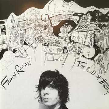 cd - Fionn Regan - The End Of History, Verzenden, Zo goed als nieuw