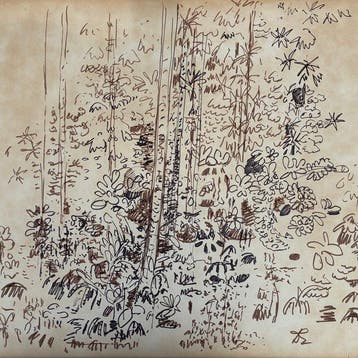 Diane Esmond (1910-1981) - Paysage floral (vendu sans prix