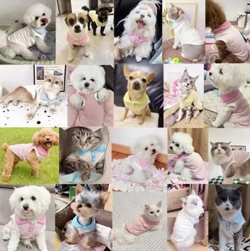 Hond Poloshirt Zomer – Ademend, Comfortabel en Modieus, Verzenden, Nieuw