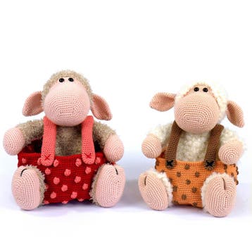 Sammie Schaap Mandje Haken - Haakpret Anja Toonen - Haakpa, Ophalen of Verzenden, Nieuw