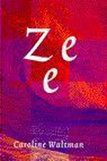 ZEE - RELAAS VAN HERSENINFARCT - WALTMAN 9789041006349, Boeken, Verzenden, Zo goed als nieuw, WALTMAN