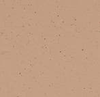 Forbo Marmoleum Cocoa 3592 salted caramel, Nieuw