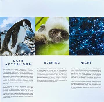 Alex Heffes - Earth One Amazing Day (Original Motion Picture, Ophalen of Verzenden, Gebruikt