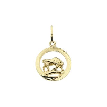 Gouden sterrenbeeld hanger; Steenbok (Hanger of bedel), Sieraden, Tassen en Uiterlijk, Bedels, Ophalen of Verzenden, Gebruikt