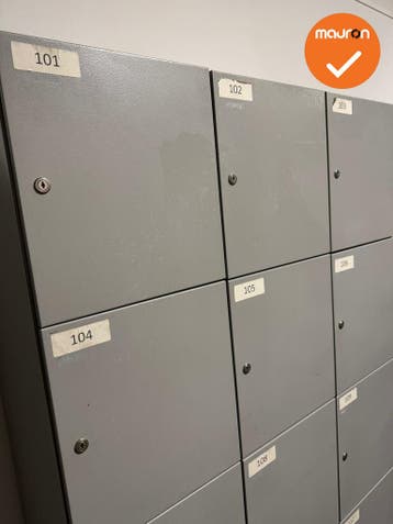 Lockerkast - zilvergrijs - 12 lockers, Werkplek, Ophalen of Verzenden, Gebruikt, Kast