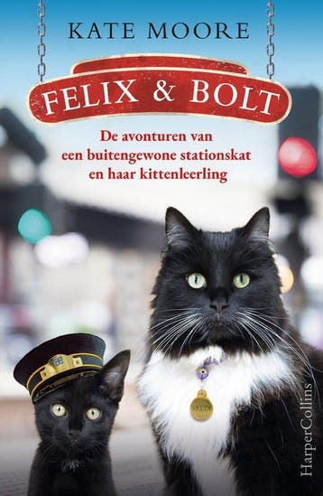 9789402710397 Felix  Bolt | Tweedehands, Verzenden, Zo goed als nieuw, Kate Moore