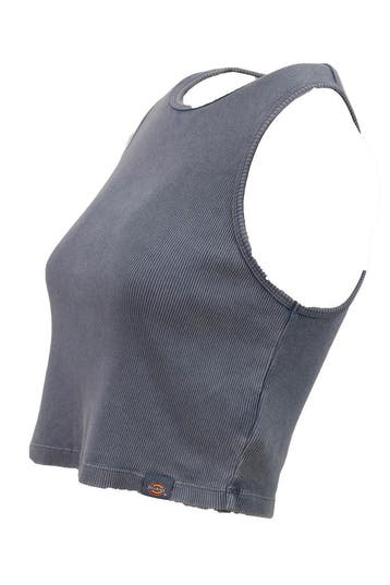 Dickies Top in maat XXS Blauw, Kleding | Dames, Truien en Vesten, Dickies, Verzenden, Zo goed als nieuw, Blauw