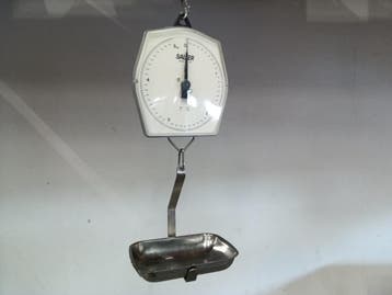 Salter 235-10S Hangweegschaal – 100 g tot 5 kg