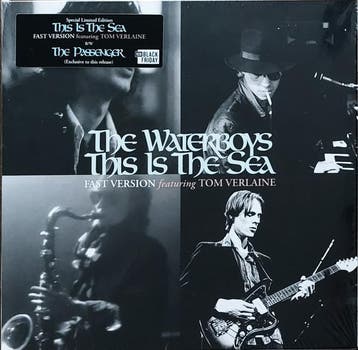The Waterboys - This Is The Sea, Ophalen of Verzenden, Gebruikt