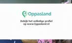 Hester zoekt een oppas in Beekbergen voor 2 kinderen.