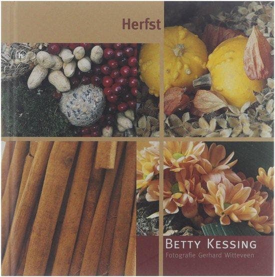 Herfst - Betty Kessing 9789044317695 Betty Kessing, Boeken, Overige Boeken, Zo goed als nieuw, Verzenden