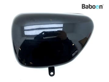 Buddypaneel Links Kawasaki W 800 2011-2016 (W800), Motoren, Onderdelen | Kawasaki, Verzenden, Gebruikt