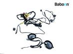 Kabelboom Honda XL 125 Varadero 2001, Motoren, Verzenden, Gebruikt