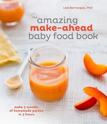 Amazing Make-Ahead Baby Food Book - Lisa Barrangou, Verzenden, Zo goed als nieuw, Lisa Barrangou