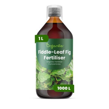 Vioolbladplant Vloeibare meststof - 1 liter, Verzenden, Mest