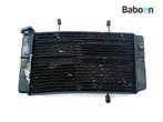 Radiateur Suzuki DL 1000 V-Strom 2007-2012 (DL1000), Motoren, Onderdelen | Suzuki, Verzenden, Gebruikt