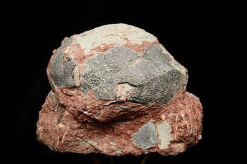 Dinosaurus - Gefossiliseerd ei - Hadrosaurus or, Verzamelen, Mineralen en Fossielen